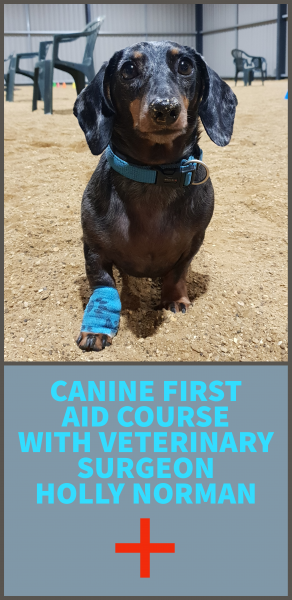 HOLLY NORMAN CANINE FIRST AID COURSE
