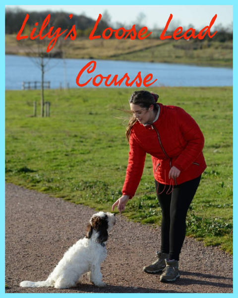 LILY`S LOOSE LEAD COURSE