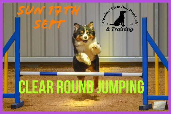 CLEAR ROUND JUMPING