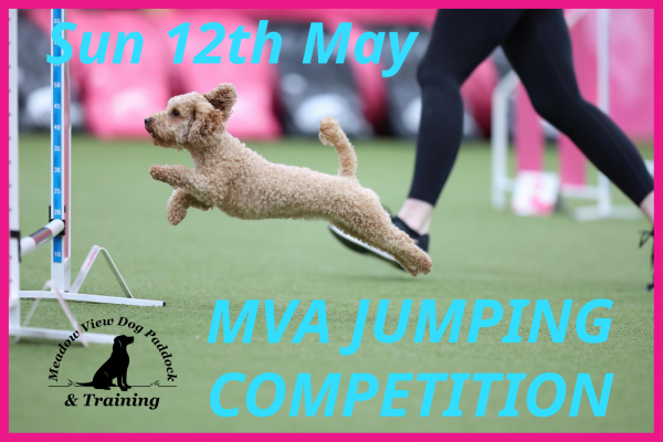 MVA JUMPING COMPETITION