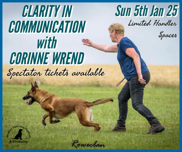 CLARITY IN COMMUNICATION WITH CORINNE WREND