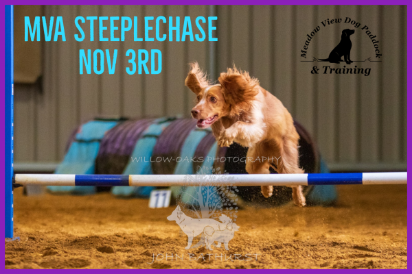 MVA NOV 3RD STEEPLECHASE