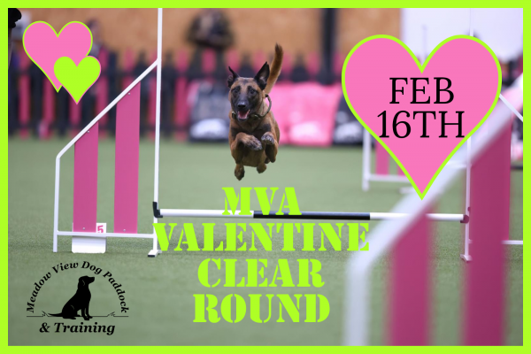 MVA VALENTINE CLEAR ROUND COMPETITION