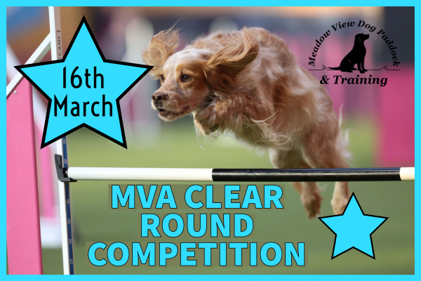 MVA MARCH CLEAR ROUND COMPETITION