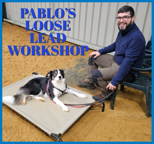 PABLO`S LOOSE LEAD WORKSHOP
