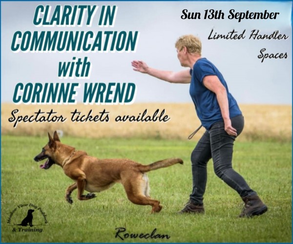CLARITY IN COMMUNICATION WITH CORINNE WREND